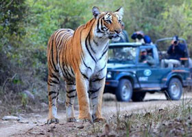 satpura tour packages