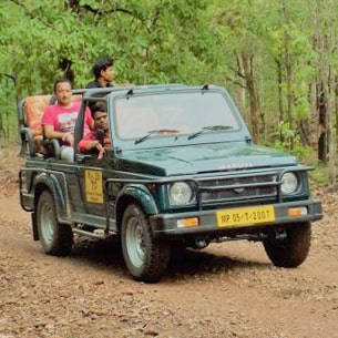 boat safari in madhai