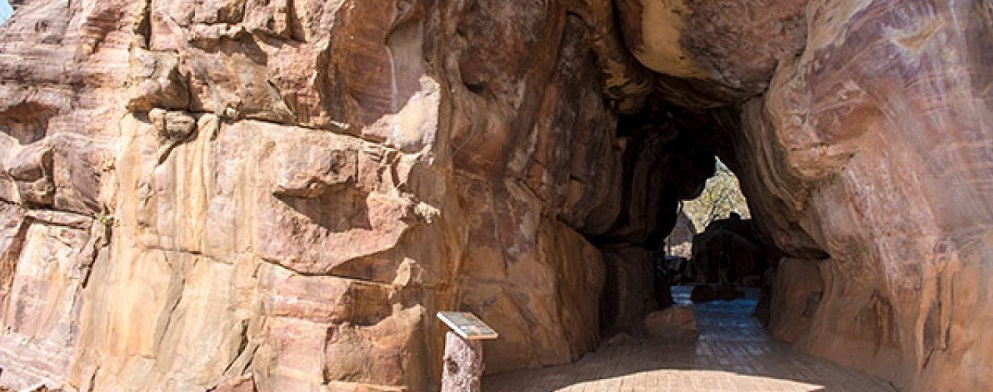 Day Trip to Bhimbetka Rock Shelters from Satpura National Park