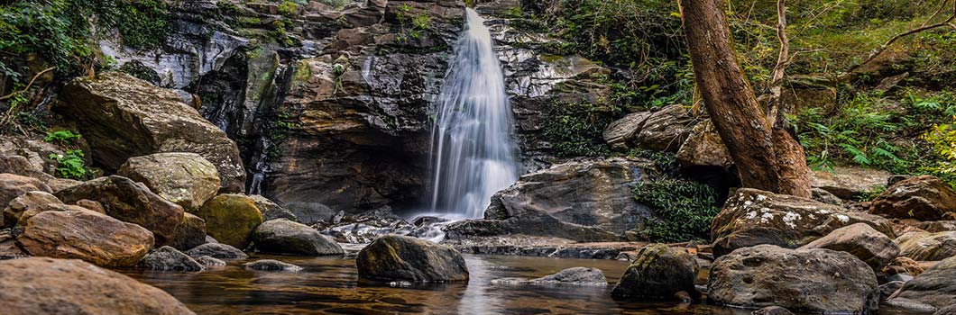 Discovering Dutchess Fall: A Hidden Gem near Satpura