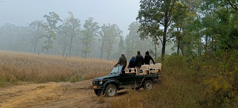 Satpura National Park - The Best Escape for a Long Weekend