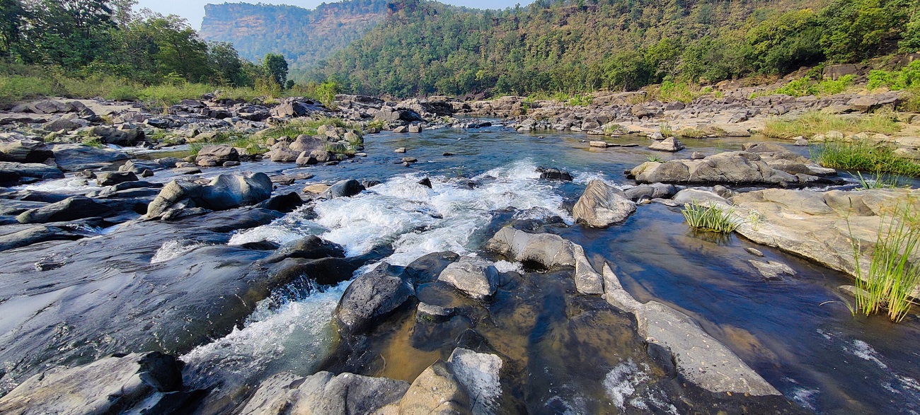 Is Summer a Good Time to Visit Satpura National Park?