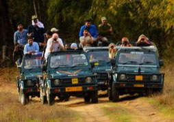 Satpura Holiday Tour Package