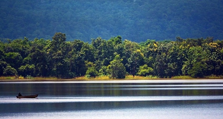 How to Successfully Plan a Satpura National Park Safari?