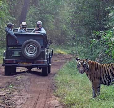 satpura jeep safari