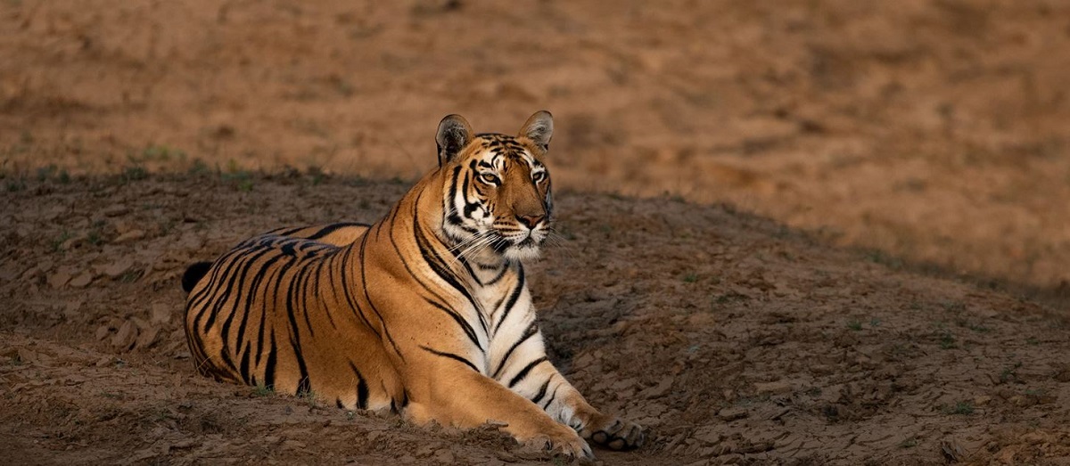 Lesser-Known Destinations to Explore in Madhya Pradesh