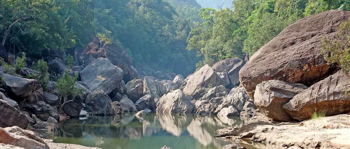 Travel Tips for Satpura National Park During Off-Tourist Season